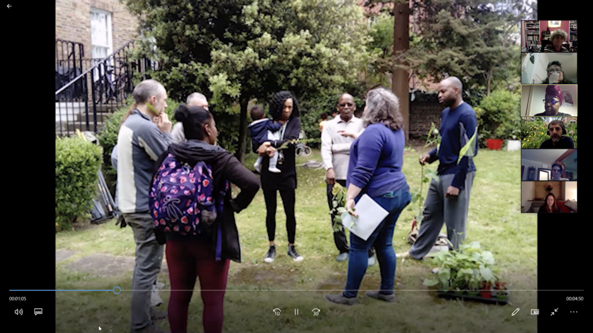 WCGN Ketra garden talk 19 Nov 2020 at 19.29.33